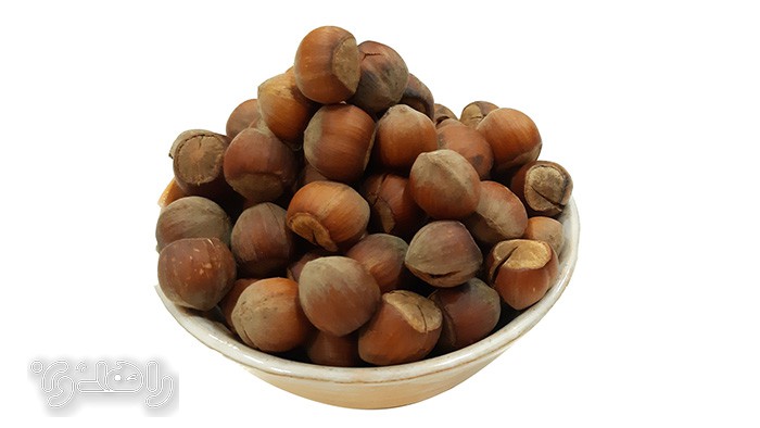 خرید فندق گیلان با کیفیت درجه 1
